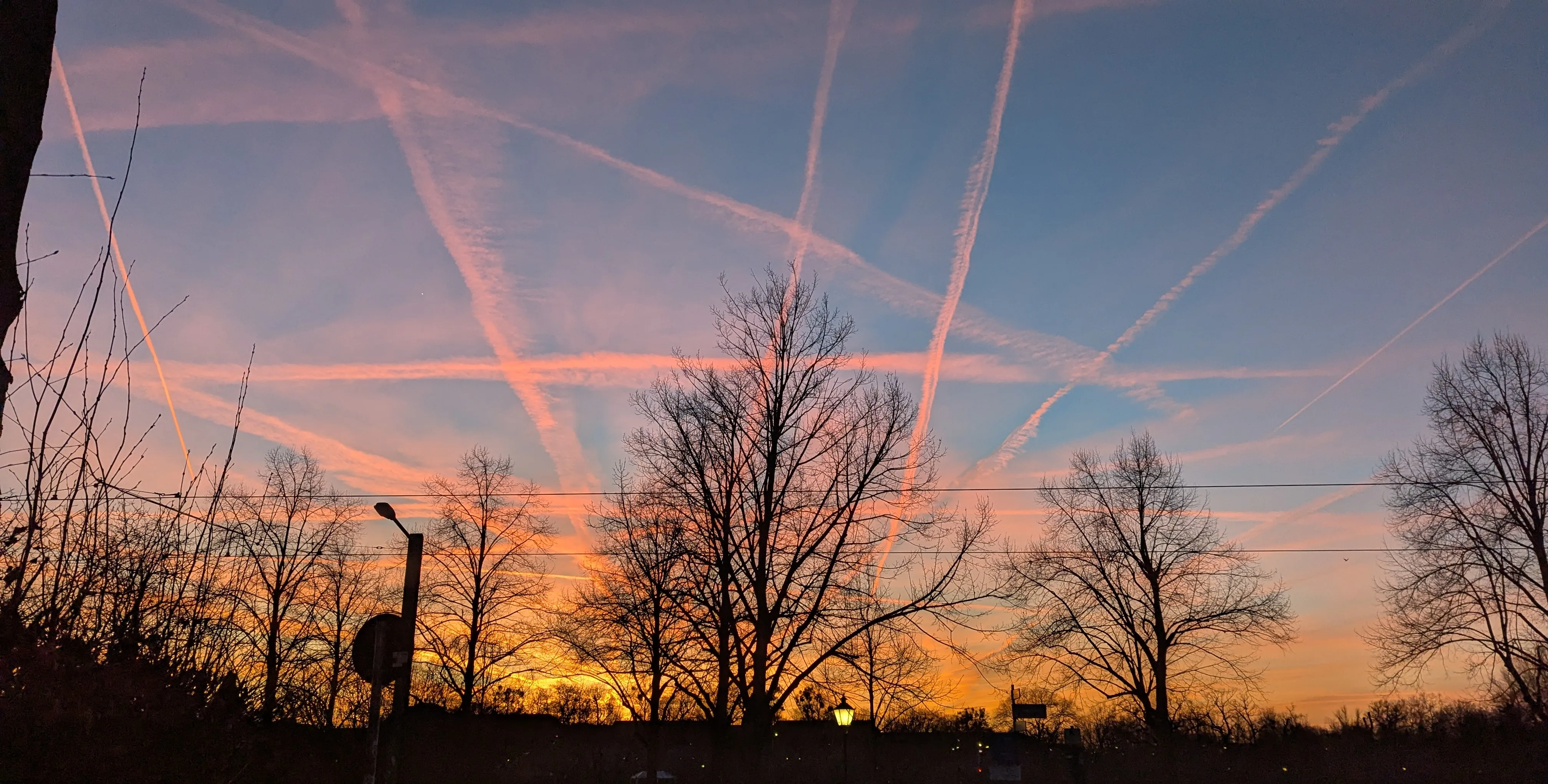 Abendhimmel mit Kondensstreifen über kahlen Baumsilhouetten